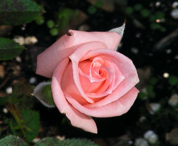 Heather Sproul photo hs2013_09260005_zps7437aa68.jpg